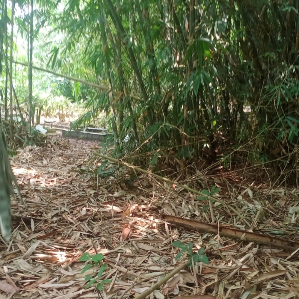 Tanah Milik Ir Agung Nugraha Kp. Cibunar Dukuh