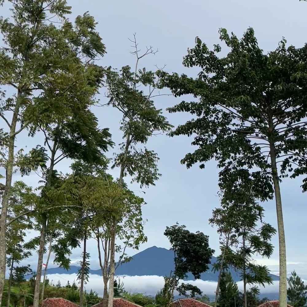 Puncak Halimun Camp Bogor