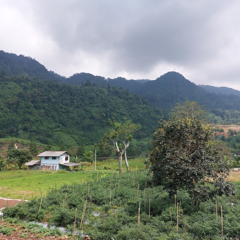 Checkpoint Bukit Bentang Land-Jonggol