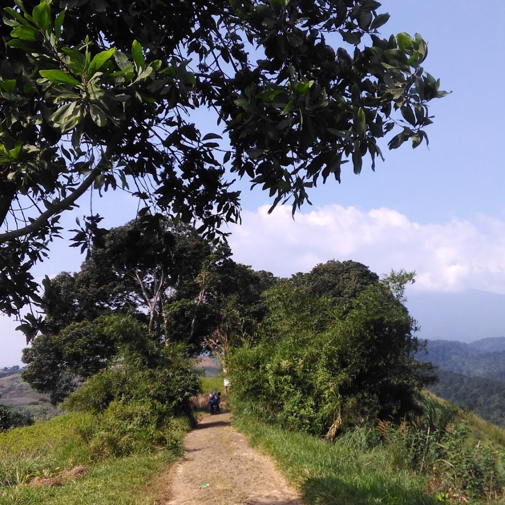 Wisata Bukit Lengkeng