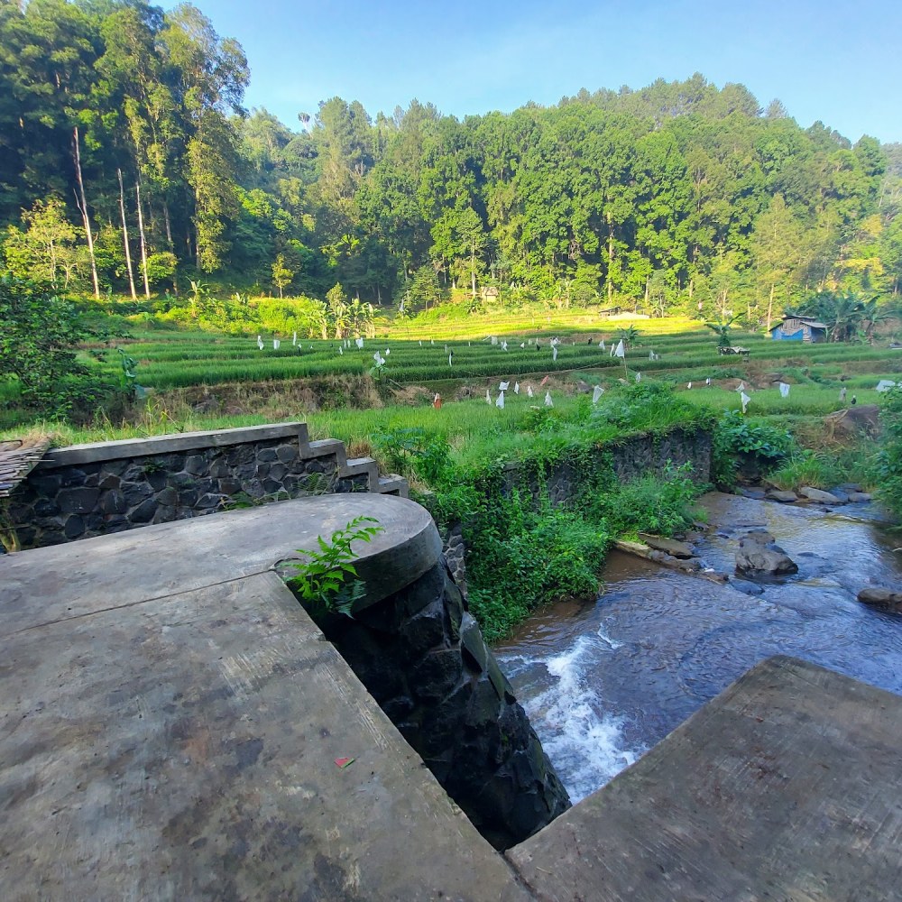 LBC River View