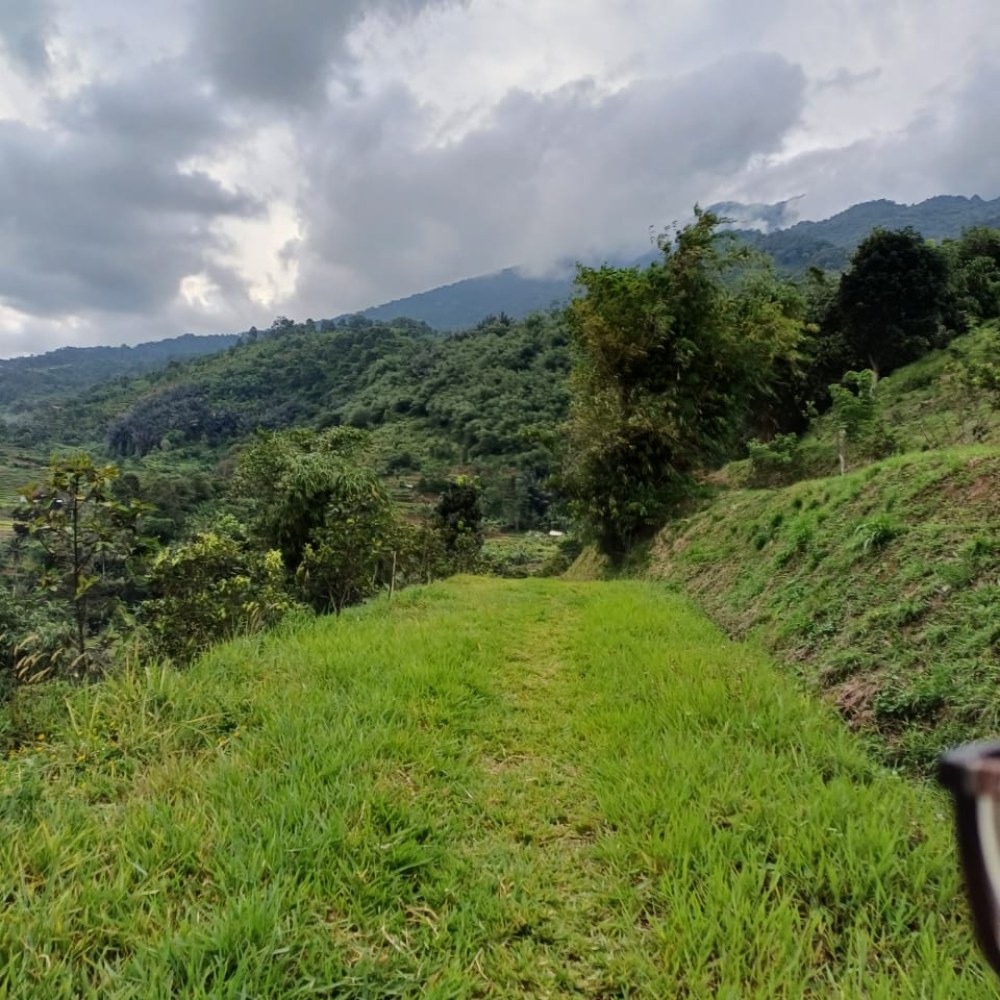 Bukit Kebun Buah