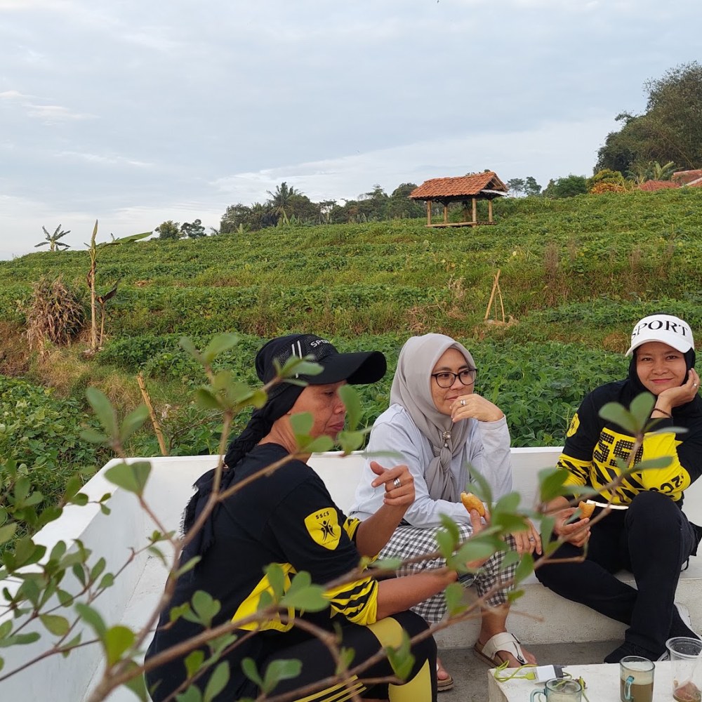 WISATA SAWAH RAJA