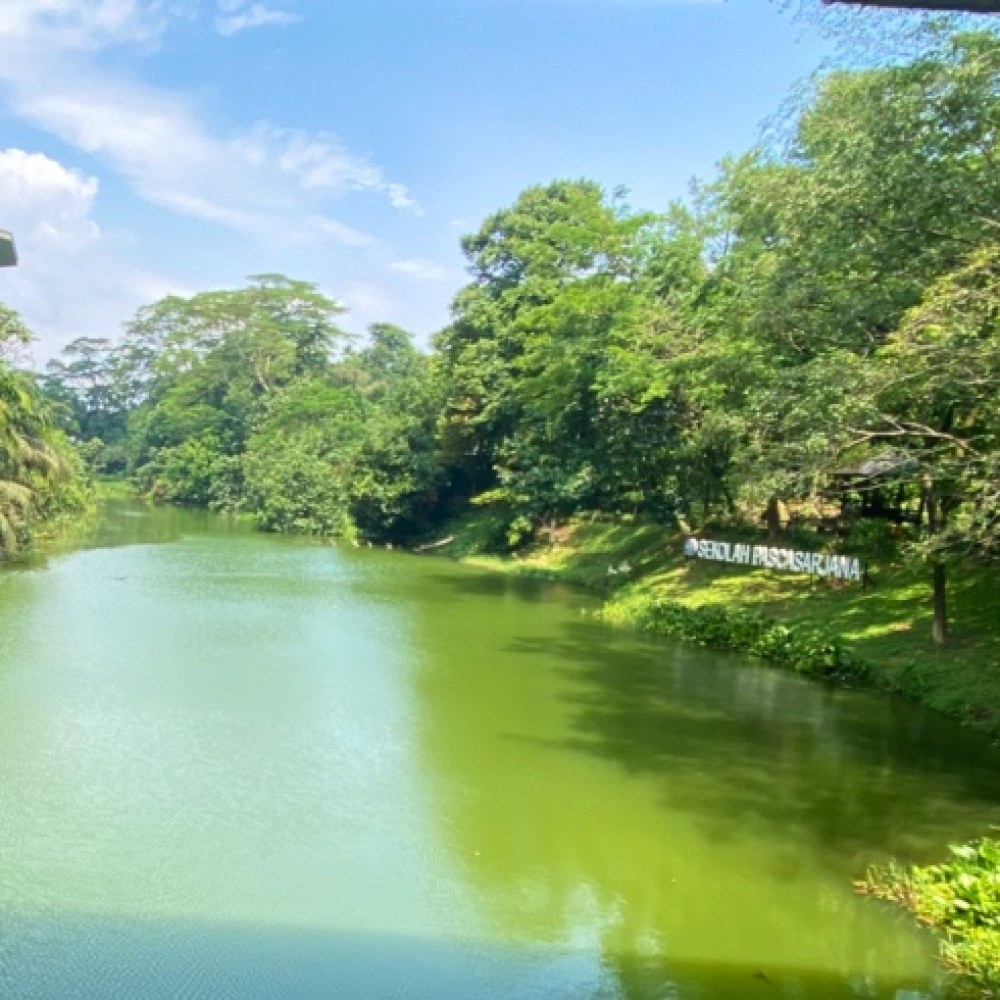 Danau LSI IPB