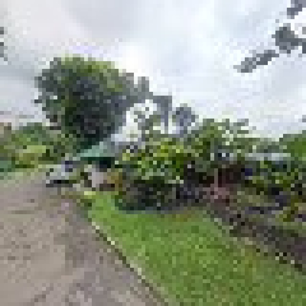 Bukit Alesano
