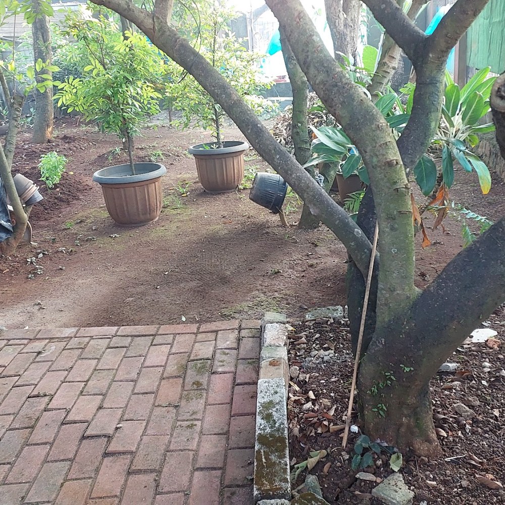 Kebun Saung