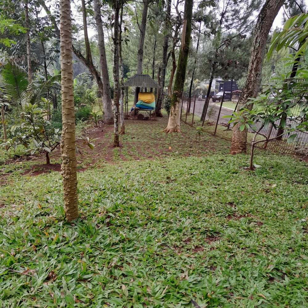 Taman bantaran x Cikeas