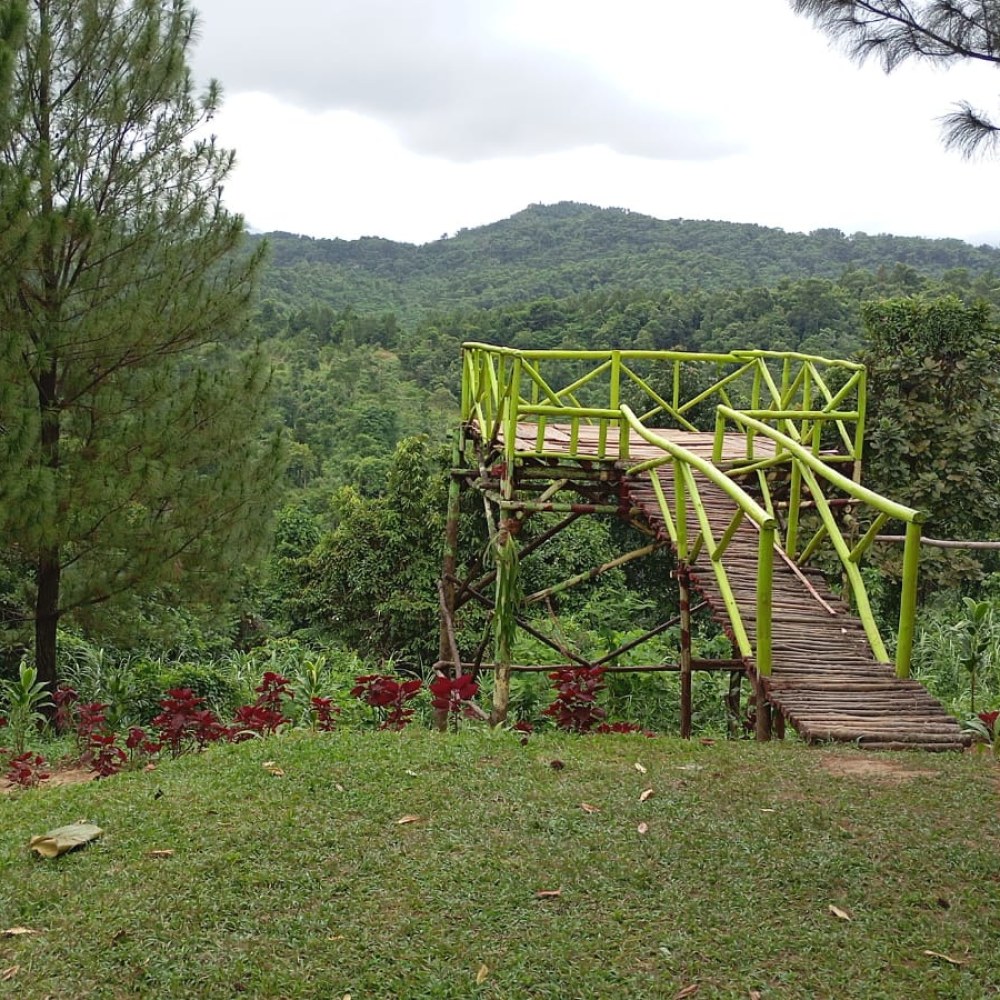 Puncak Pinus Kota Jonggol (Puncak 3)