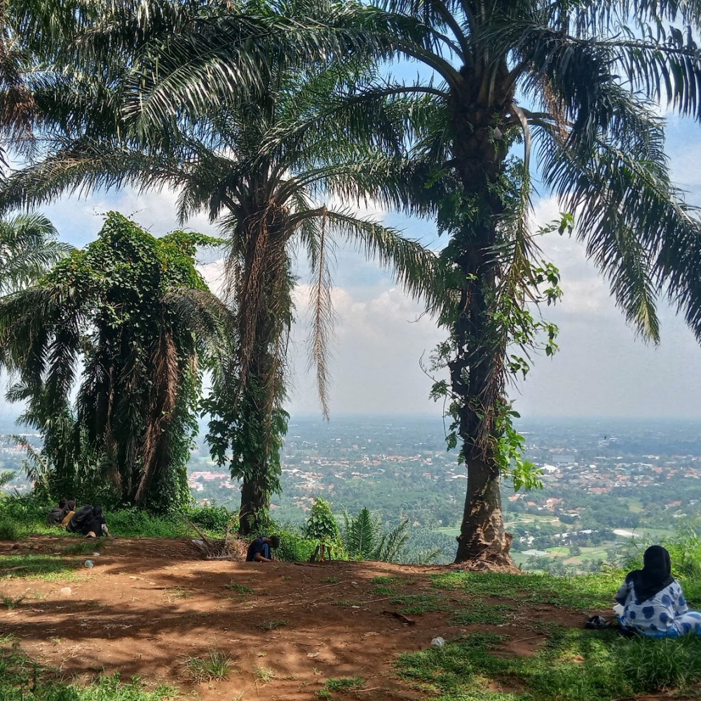 Panorama Rarata