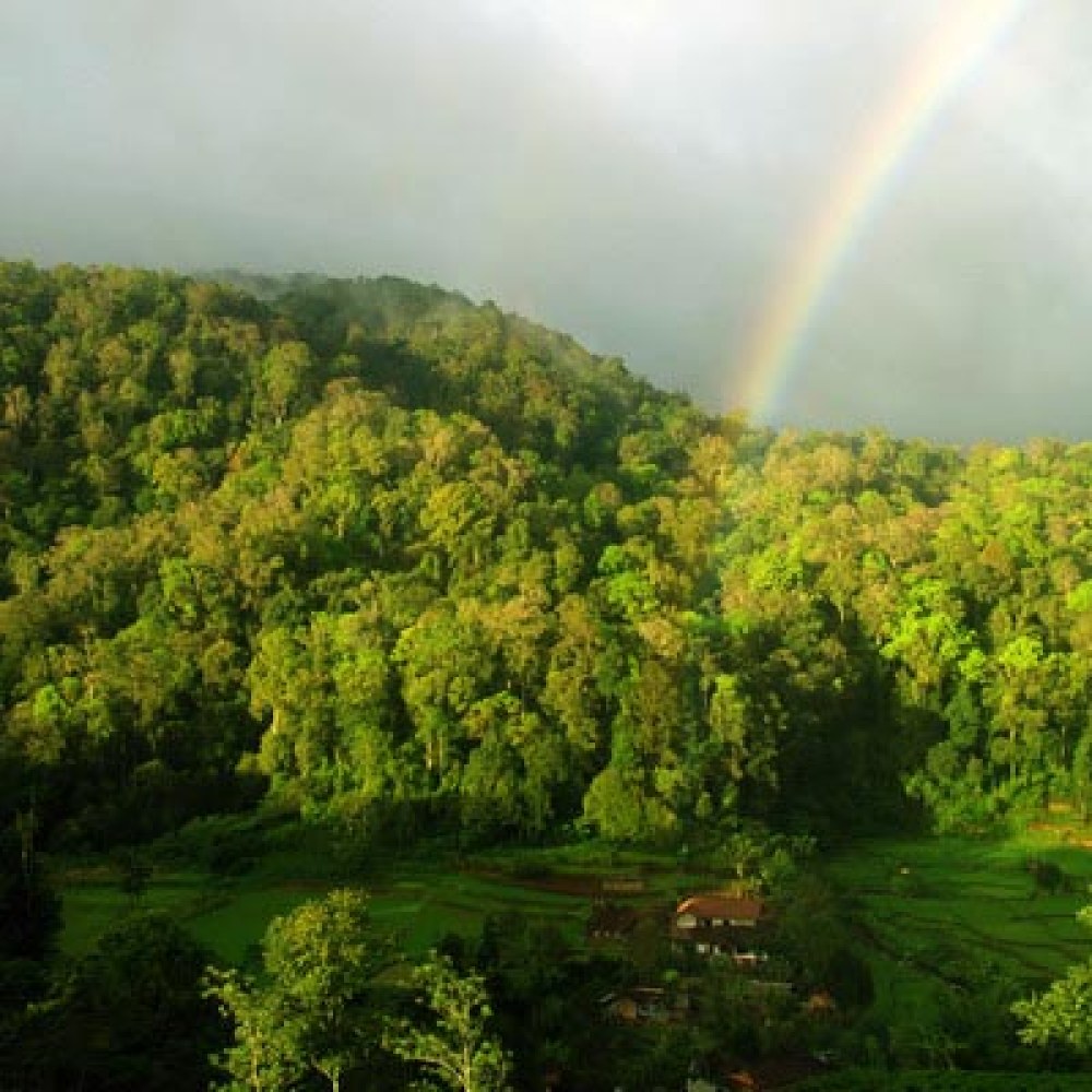 Wisata Halimun