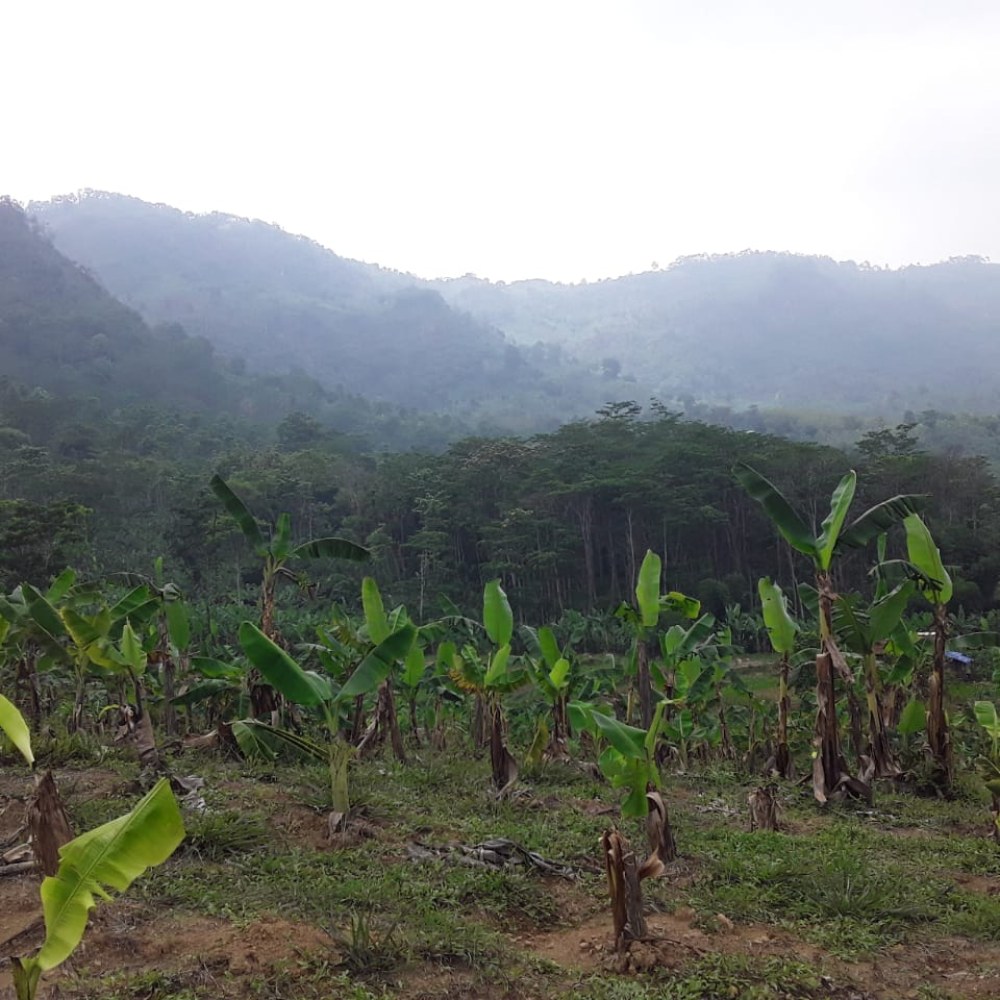 BUKIT CAKRA HIJAU