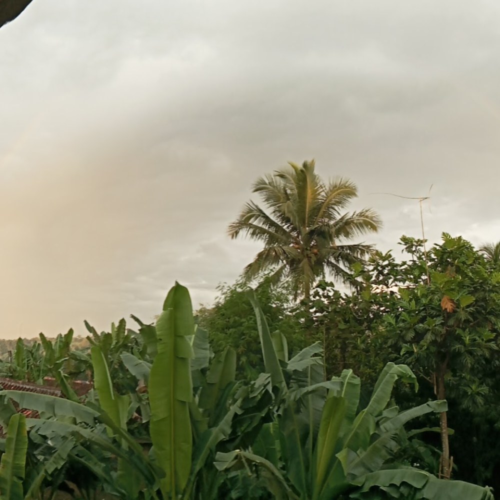 Gunung Mulya
