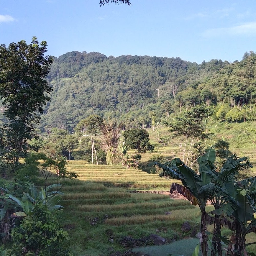 Camping Ground Balong Tapos ll