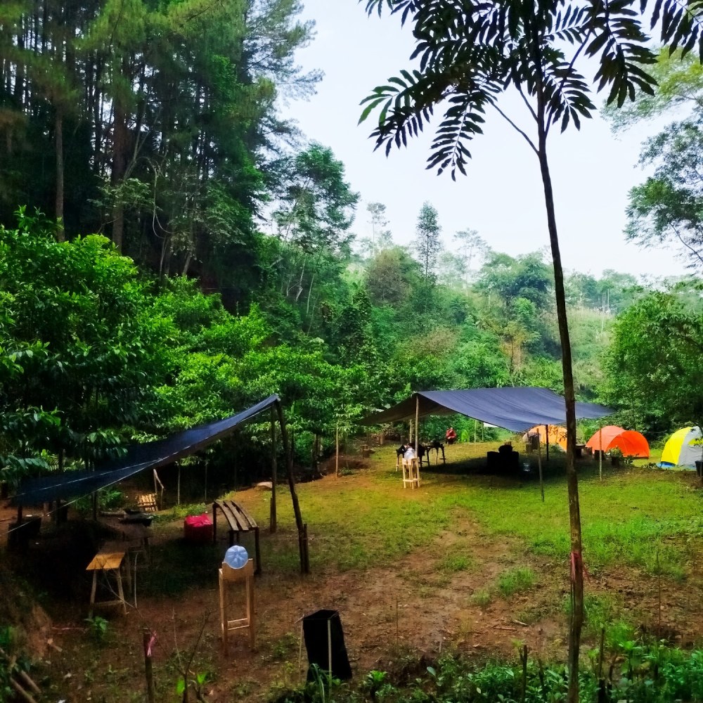 Lembah batu karut camp