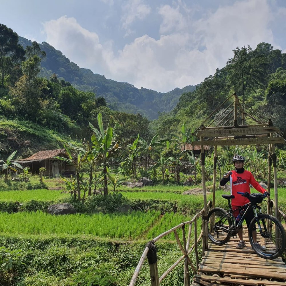 Kp lewi Sapi Wisata Alam