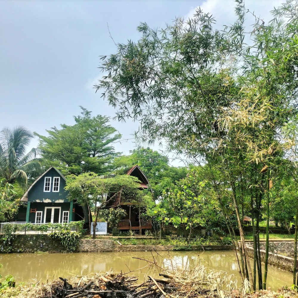 The Camp