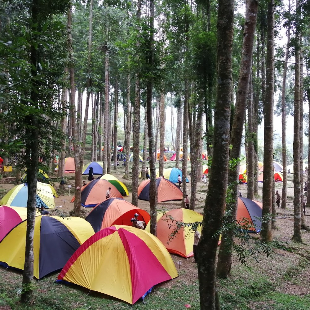 RENTAL TENDA CAMPING