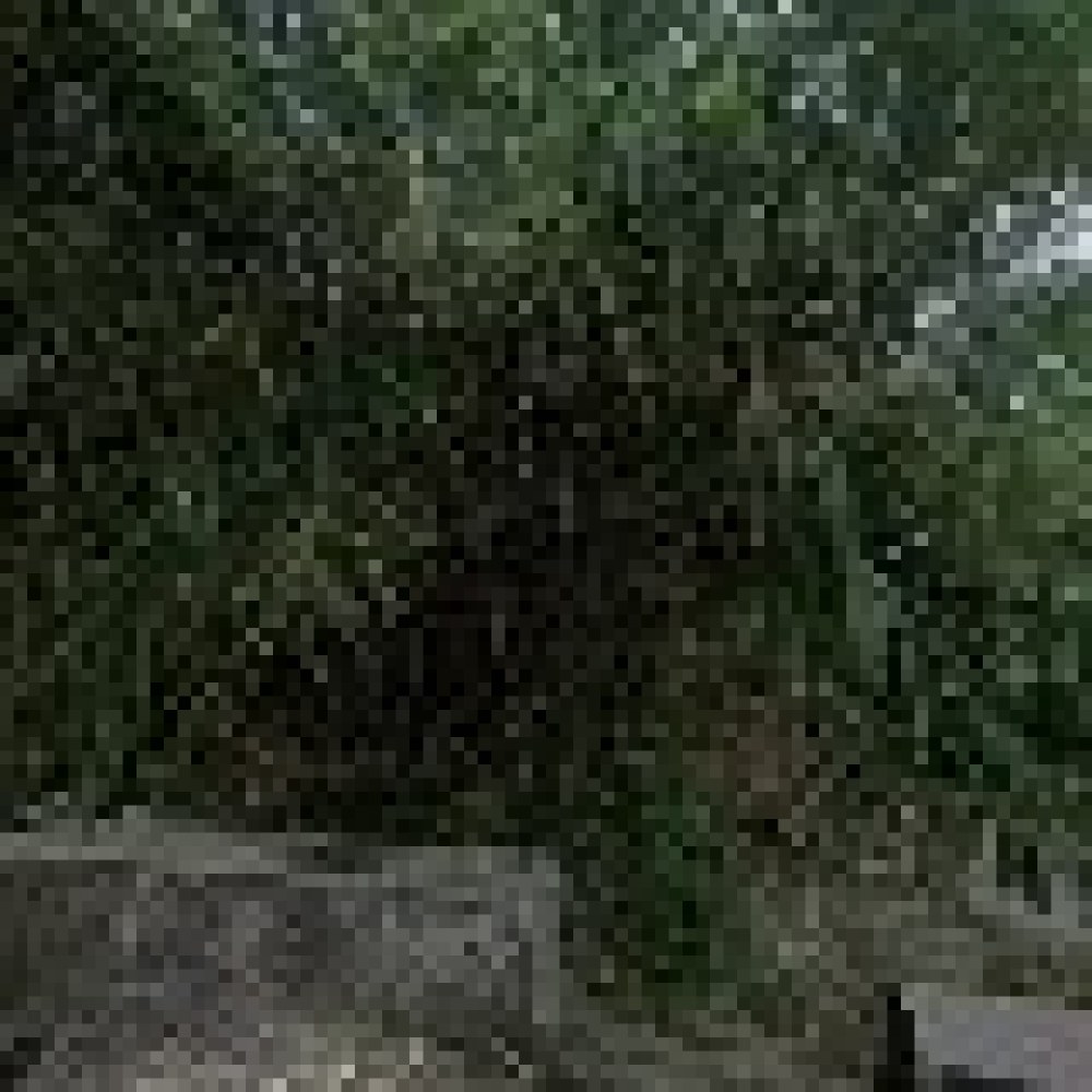 Rumah BulBul