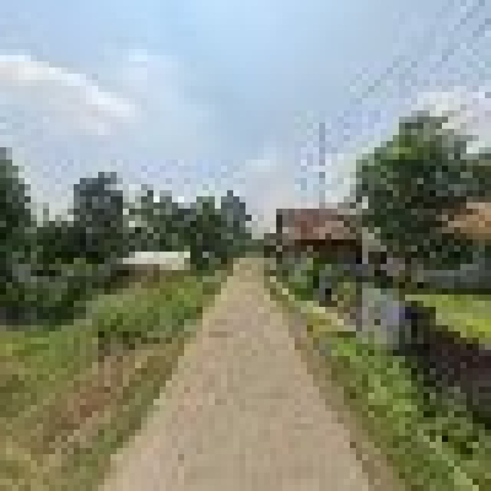 Saung pak egi