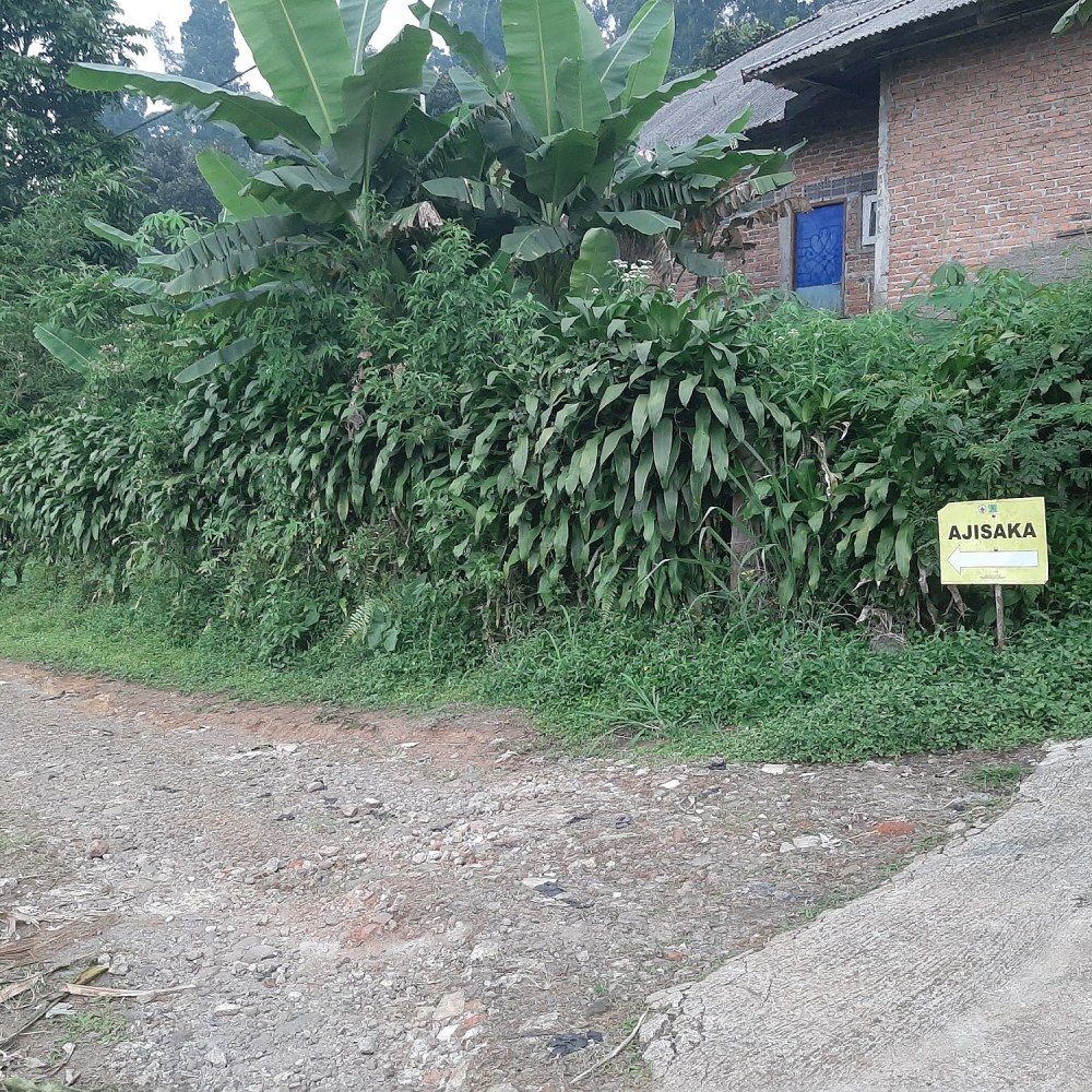Jalur Aji Saka Salak 2