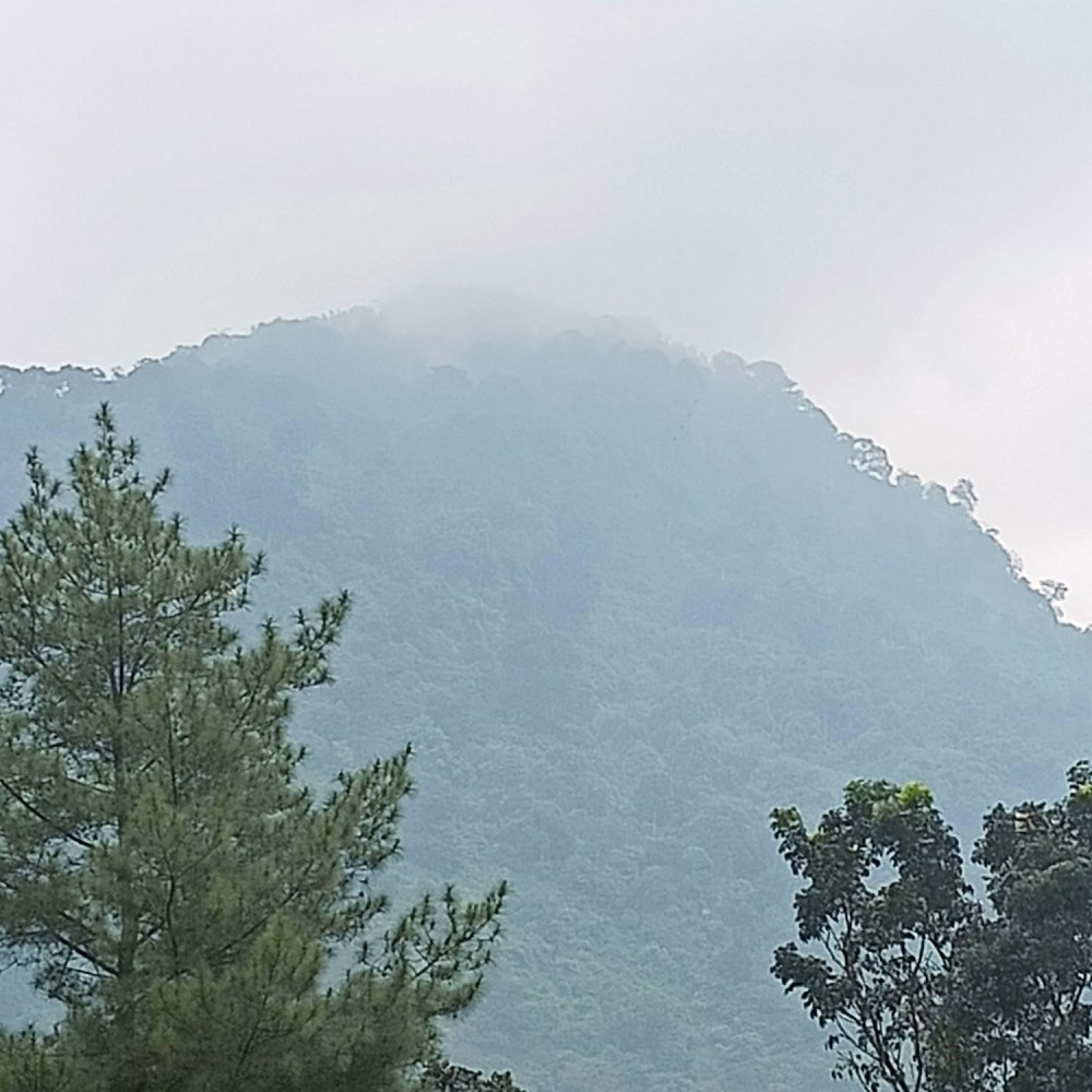 Arsyayidin Family Camp Ground