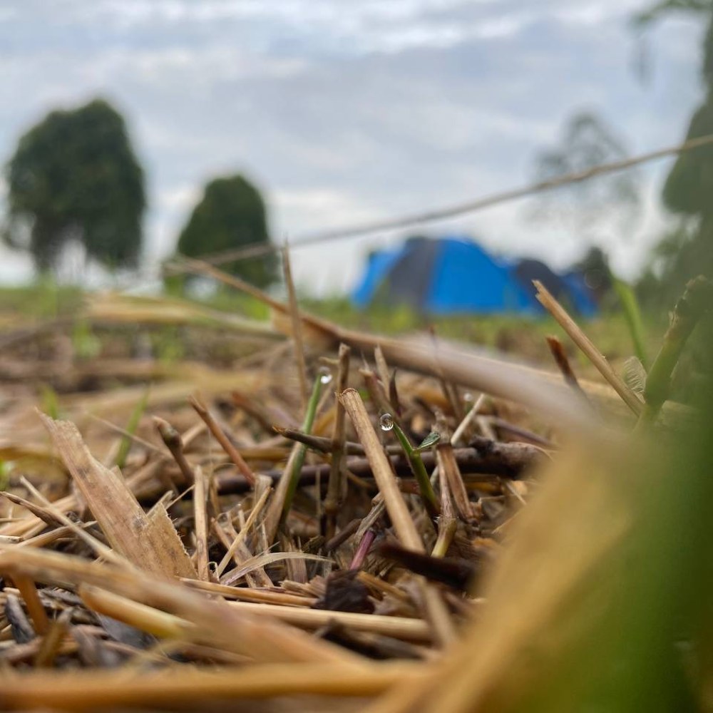 Lereng Citeko Camp