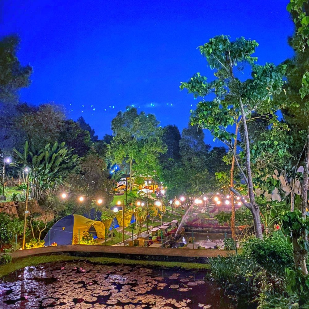 Datura Nature Space
