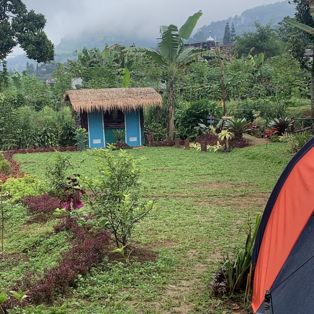 CAMP BRO