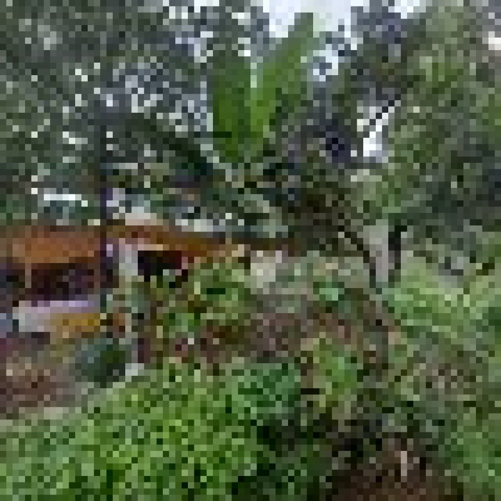 Rumah singgah