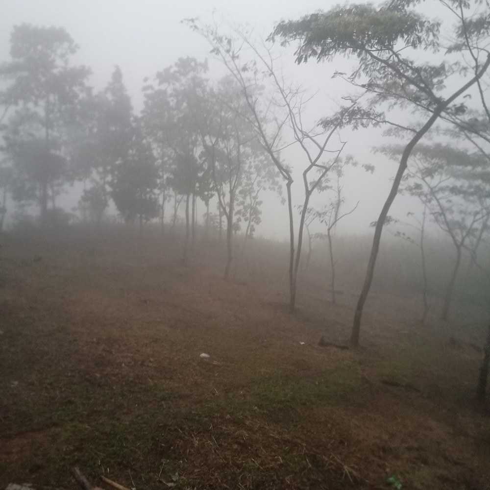 Kodok Camp Jonggol