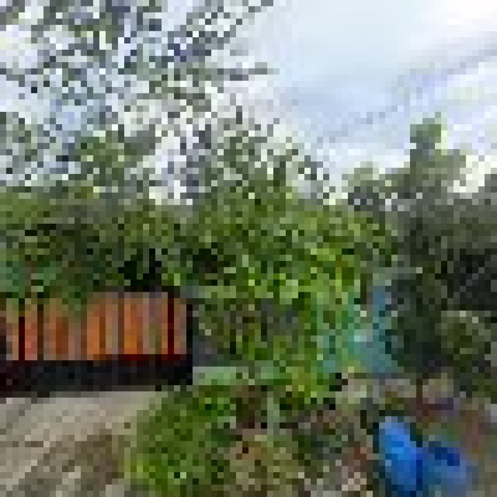 Rumah Ummi