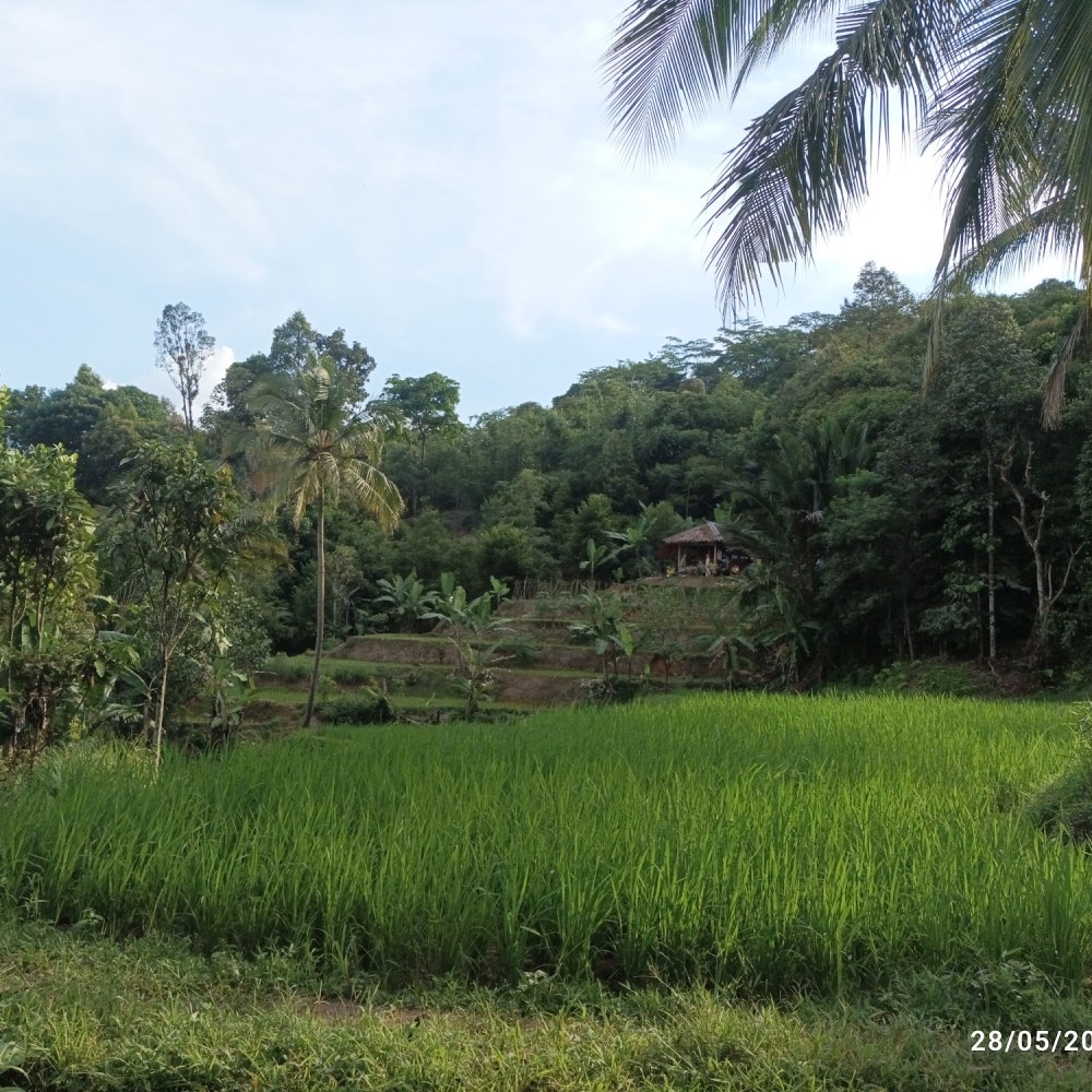 Bumi Perkemahan Suwarni