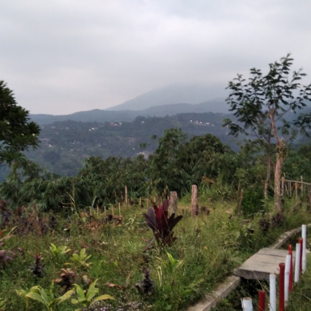 Wisata Alam Bakukung
