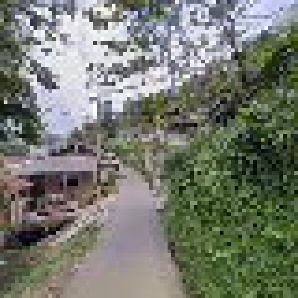 Rumah