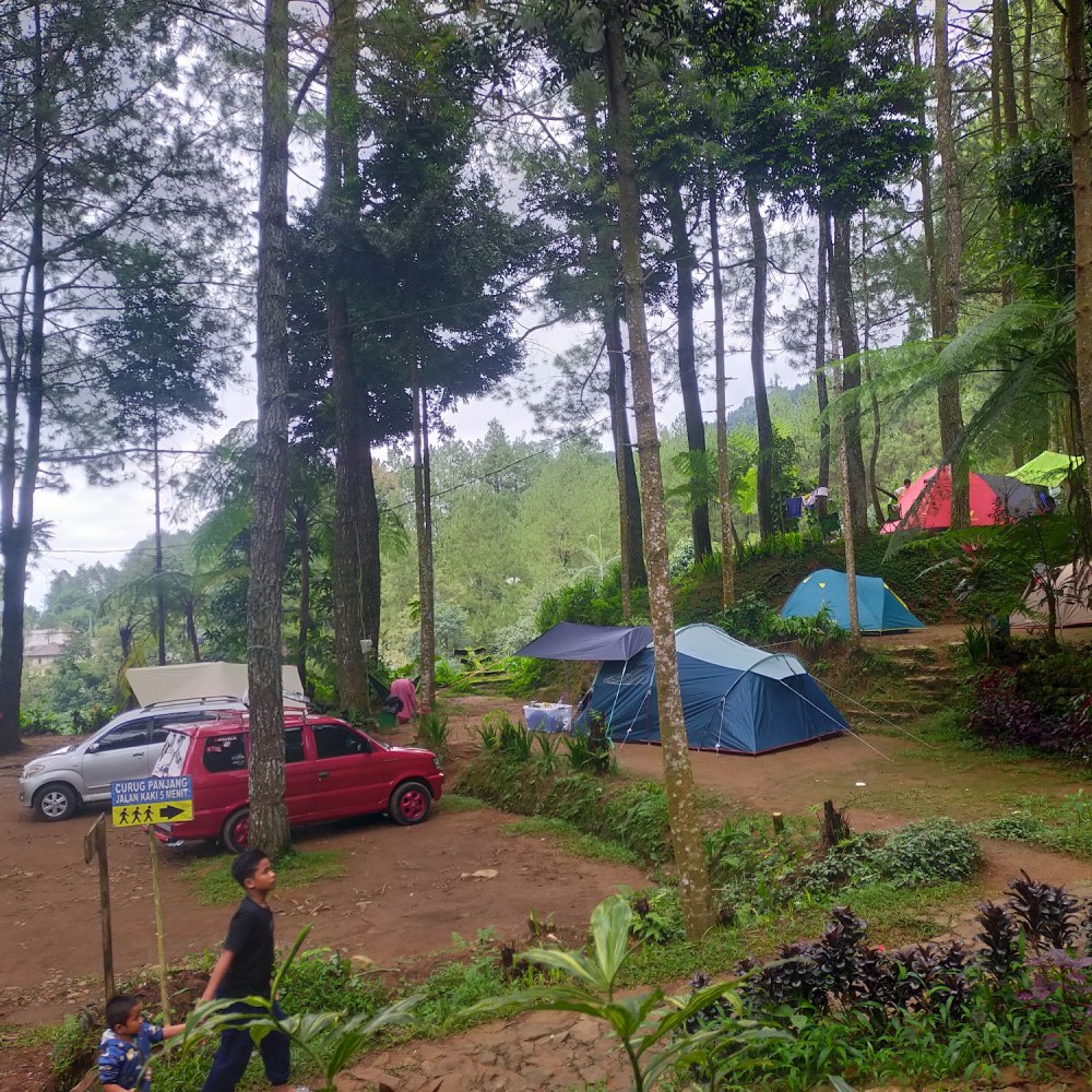 Alam camping pinus