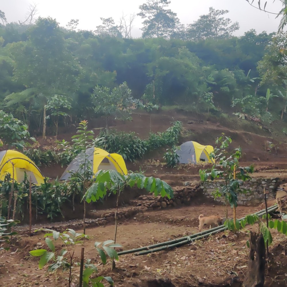 Puncak Ajip Camp