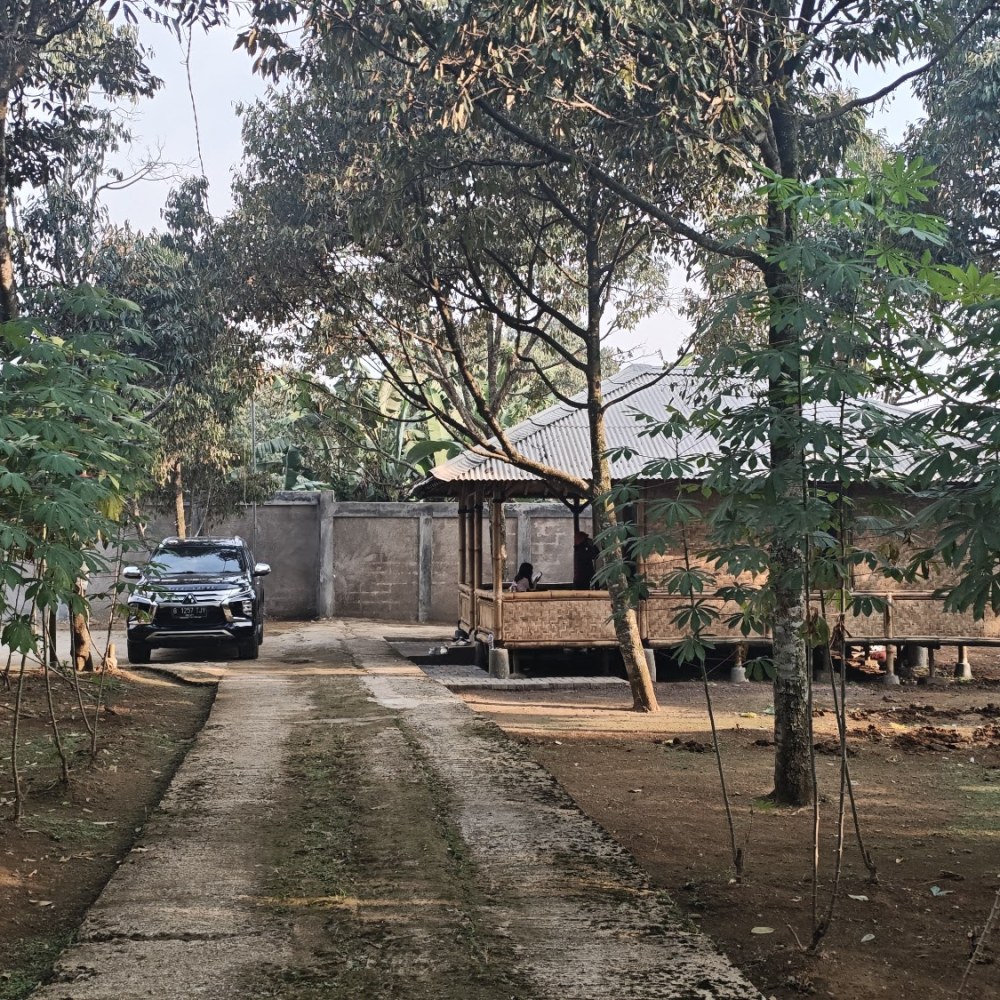 Topaz Bamboo House