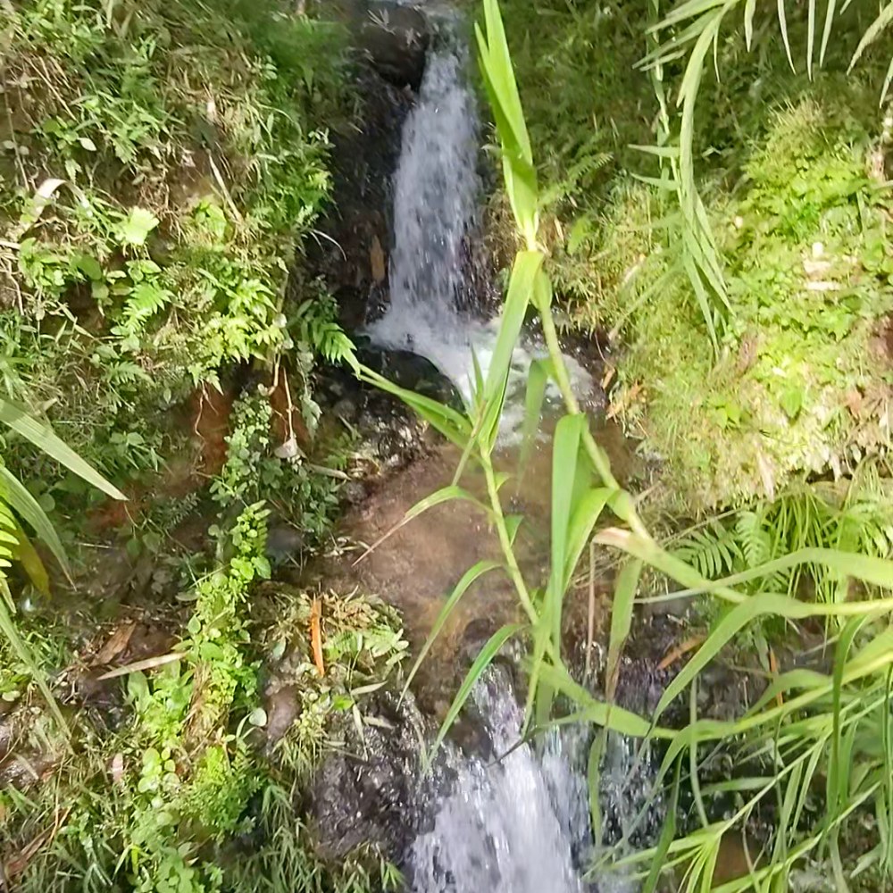 Bumi Cai Cisalimar