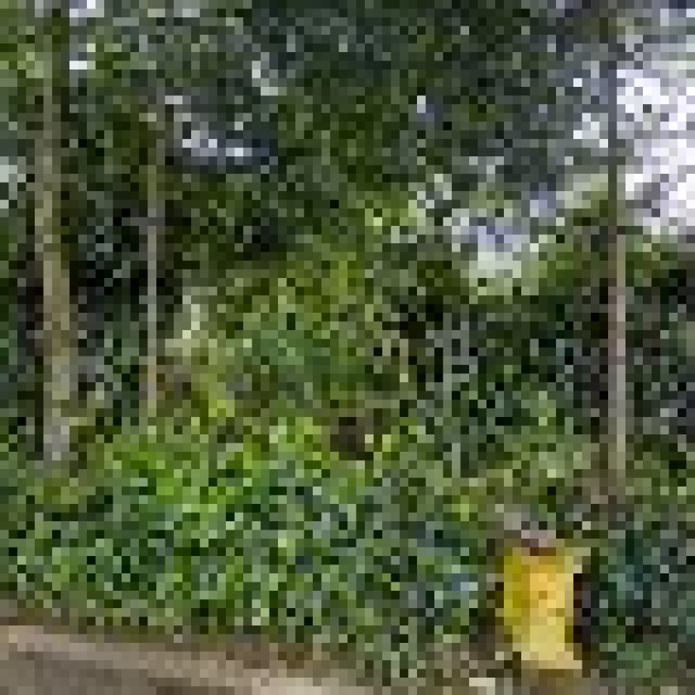 kp kebon kopi rt04/03