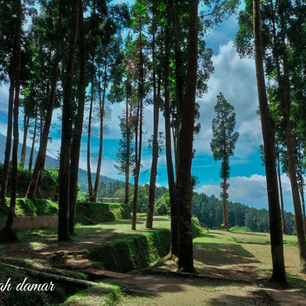 Cidahu Camping Ground Lembah Damar