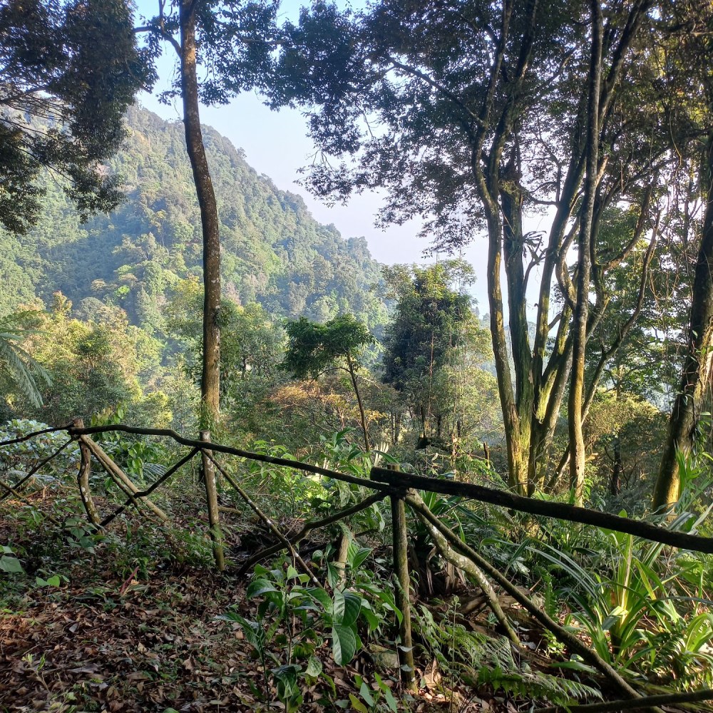 Basecamp & Camping Bukit Lembah Hijau Sukamakmur