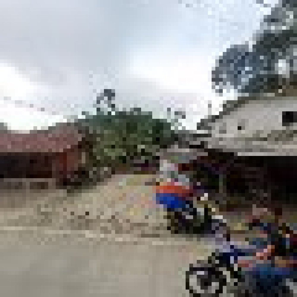 Bukit Pinus