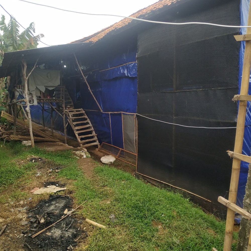 kandang risal
