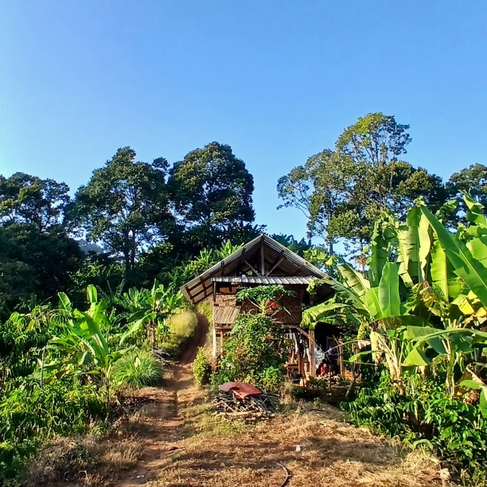 Saung Sukabungah