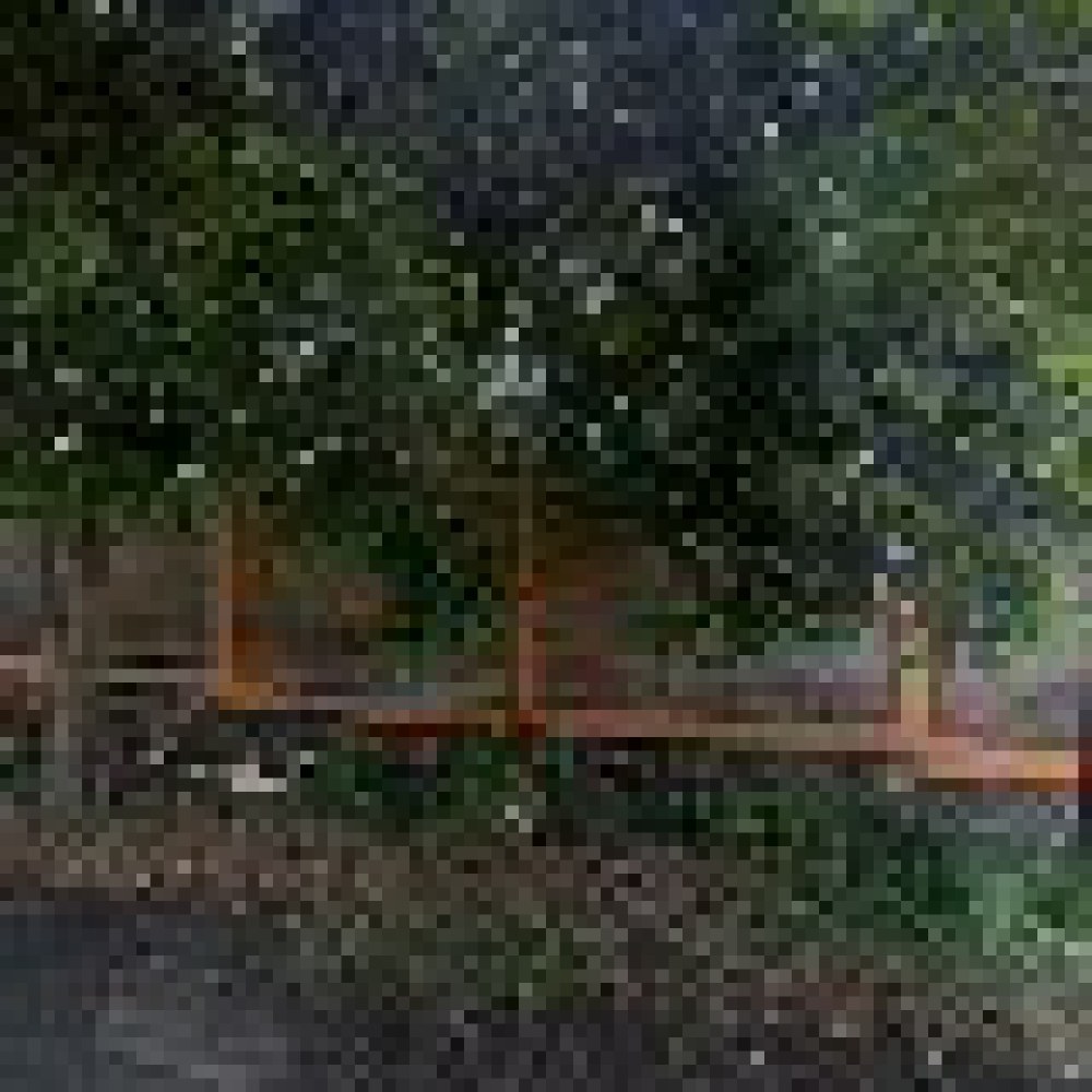 Rumah Diana Bogor