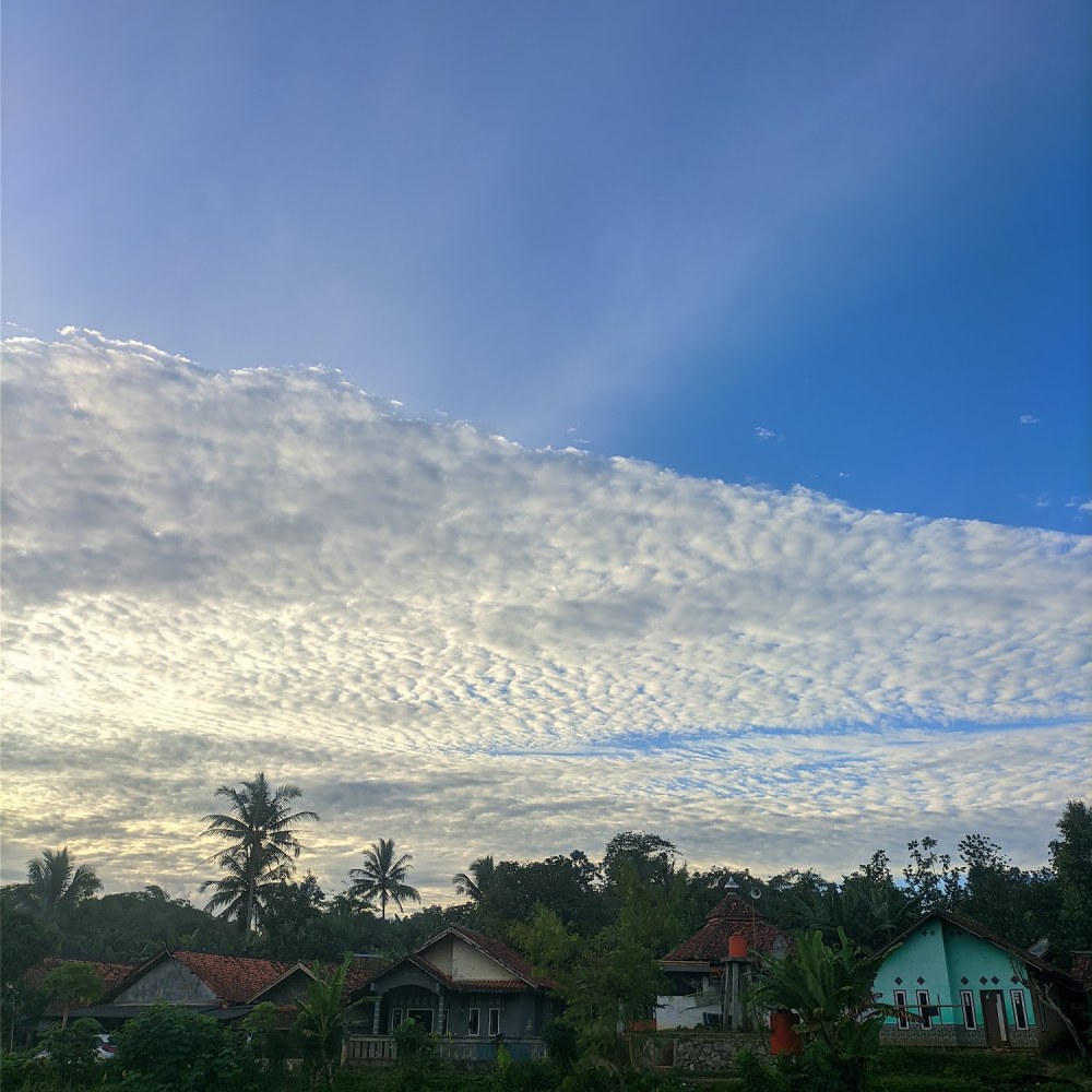 Rumah biong