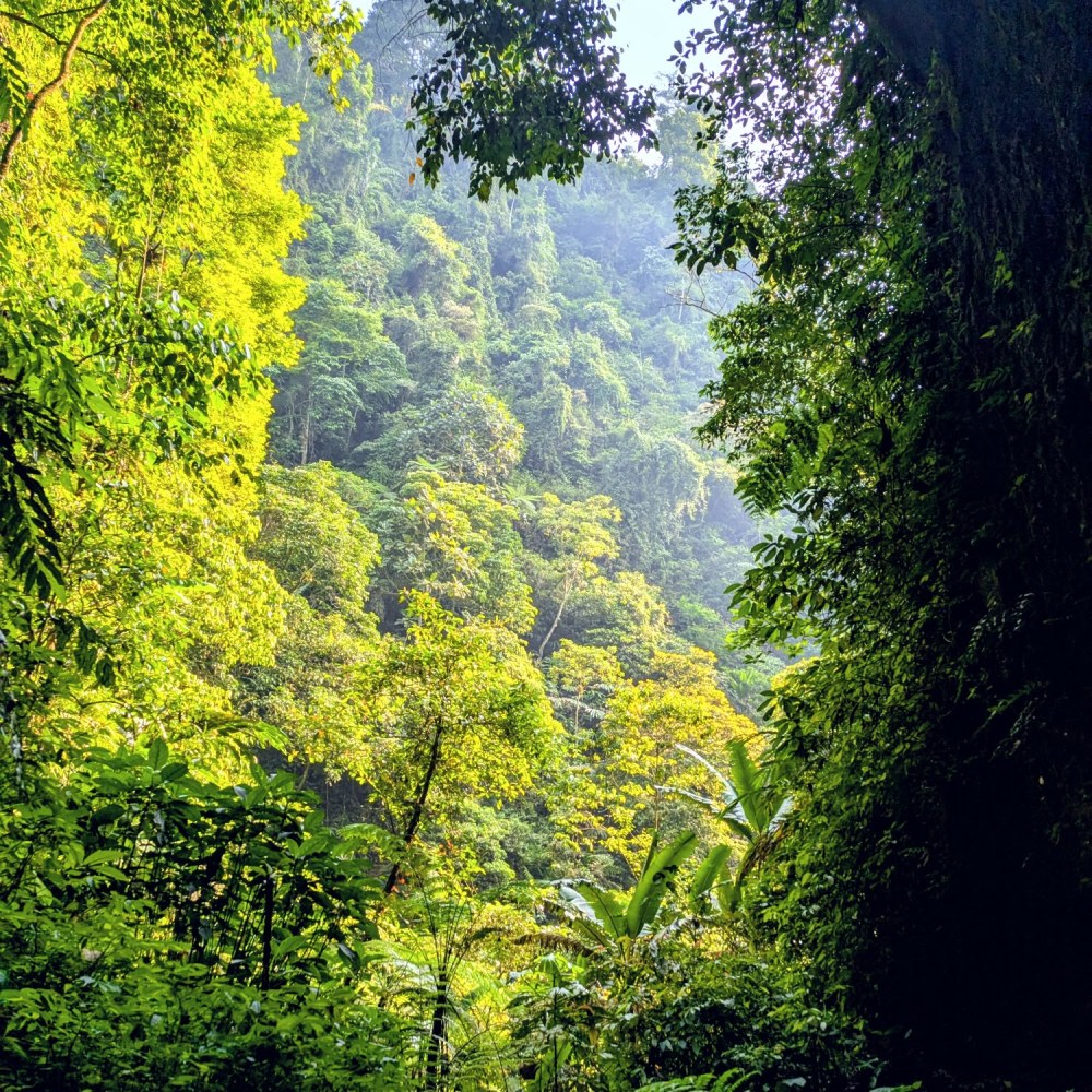 curug ci Kahuripan des. pancawati kec. caringin kab. bogor