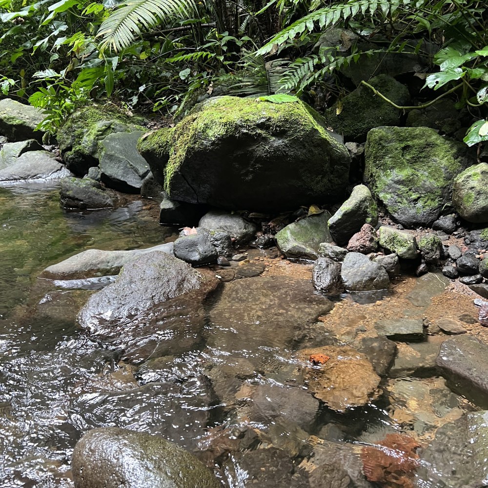 Curug Ketupat Bojongmurni