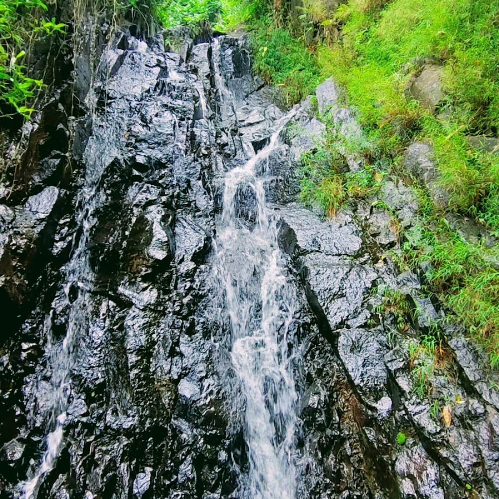 Curug Cicau, Jonggol
