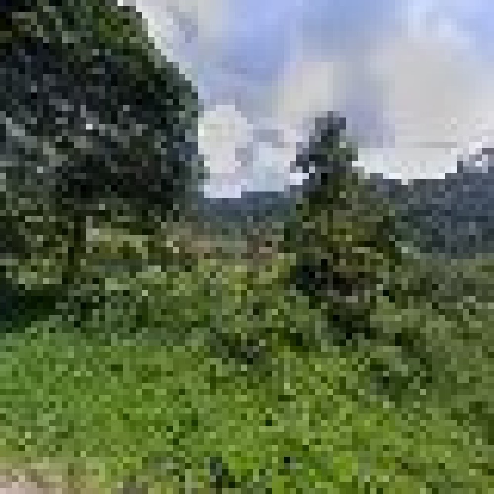 Curug Pasakan Malasari